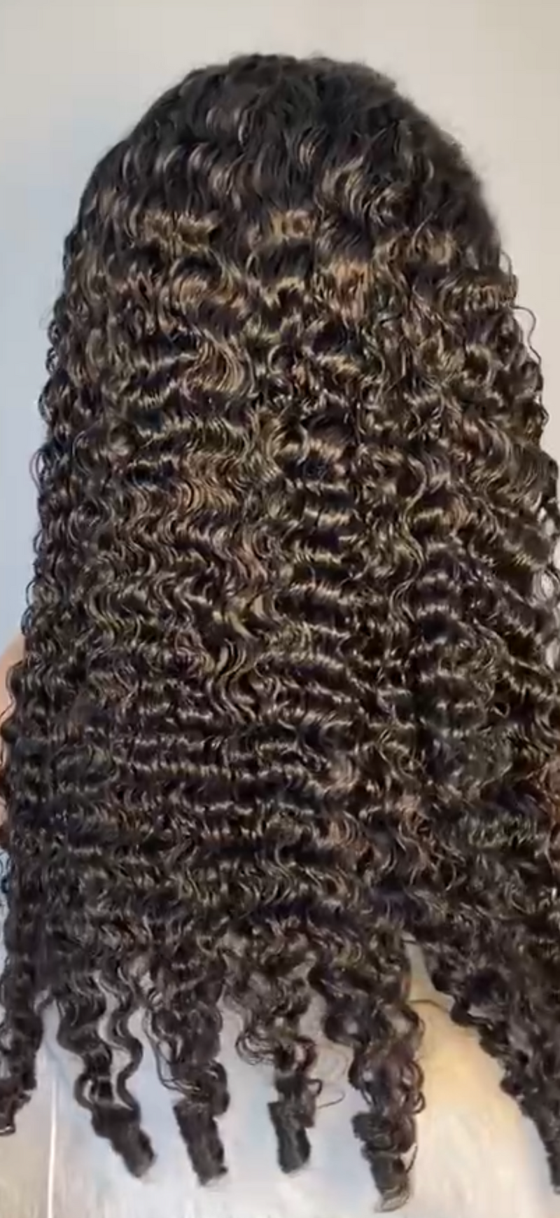 Burmese Curly
