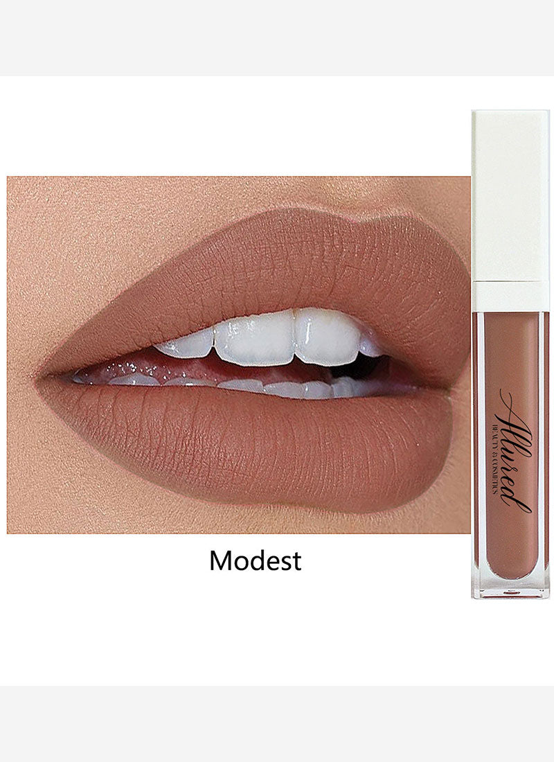Modest Matte LipStick